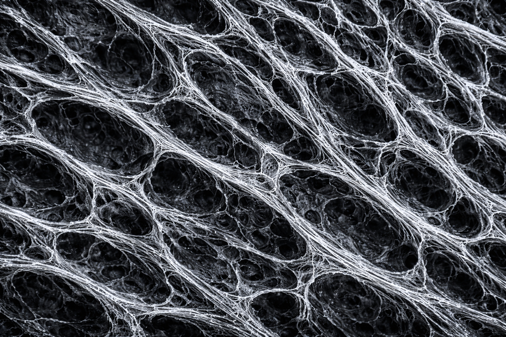 Structurally encoded architecture