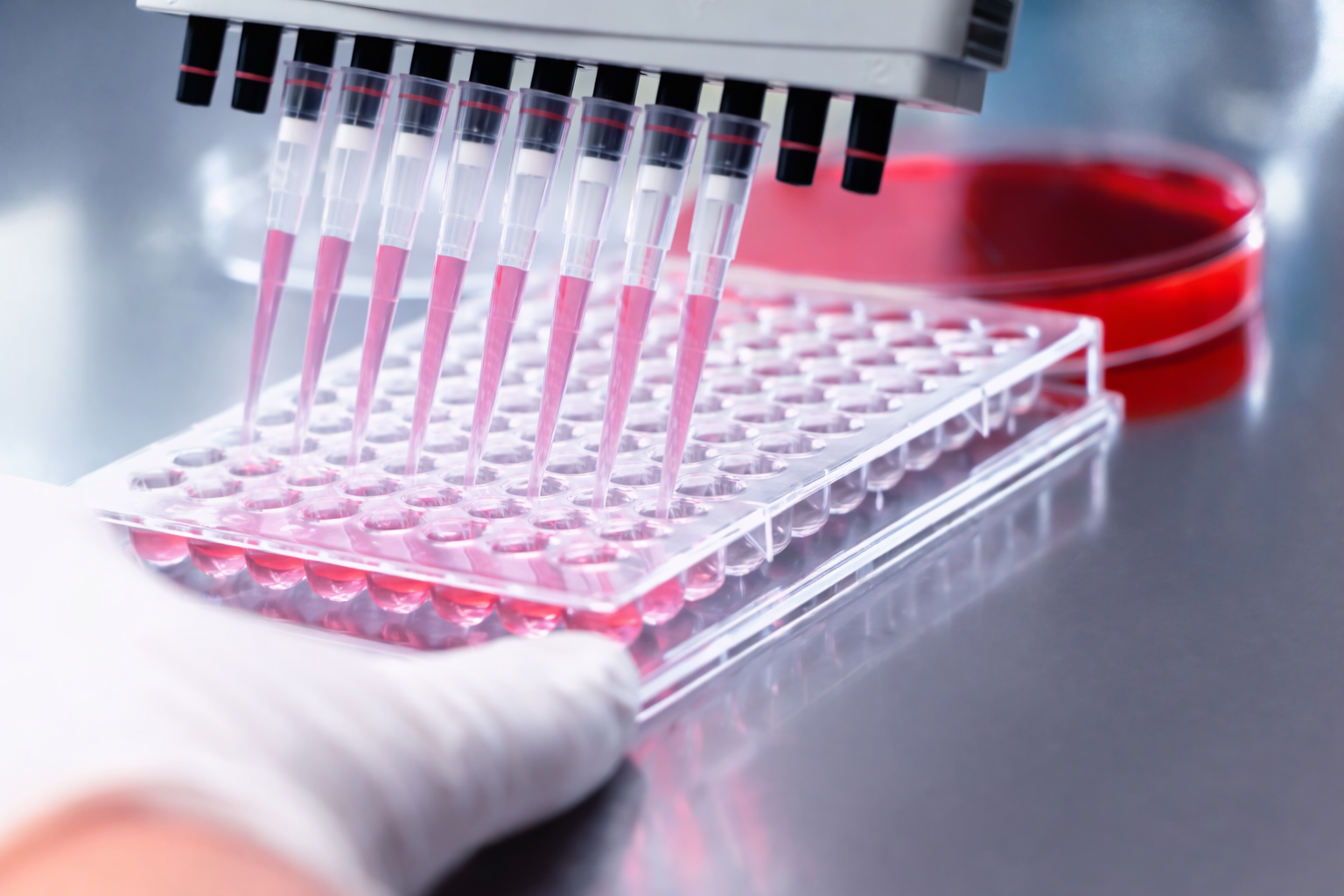 Structure as a biological variable